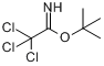 CAS:98946-18-0_叔丁基三氯乙酰亚胺酯的分子结构
