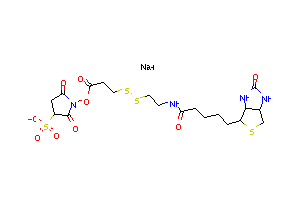 CAS:325143-98-4ķӽṹ
